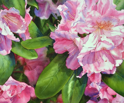 Rhodie III
20” x 28”
Private Collection Rhodie III
20” x 28”
Private Collection