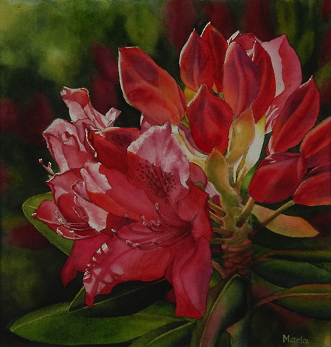 Rhodie II
17” x 16”
Private Collection Rhodie II
17” x 16”
Private Collection