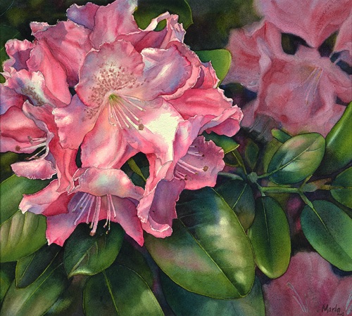 Rhodie IV
15" x 18" Rhodie IV
15" x 18"