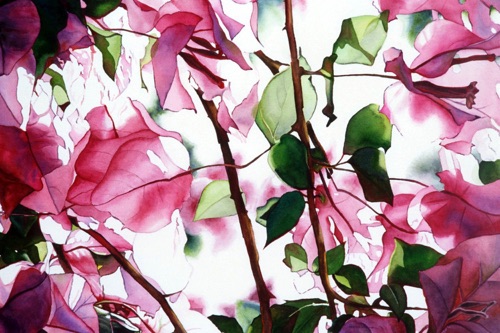 Bougainvillea
21” x 30”
Private Collection Bougainvillea
21” x 30”
Private Collection